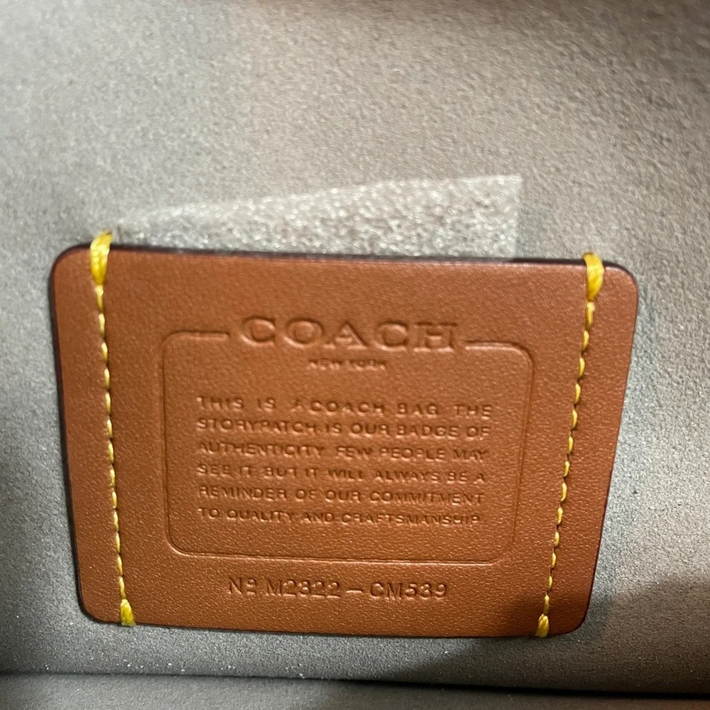 Coach Tabby 20 in Mirror Silver with Five Black Tea Roses NWT - Picture 3 of 17